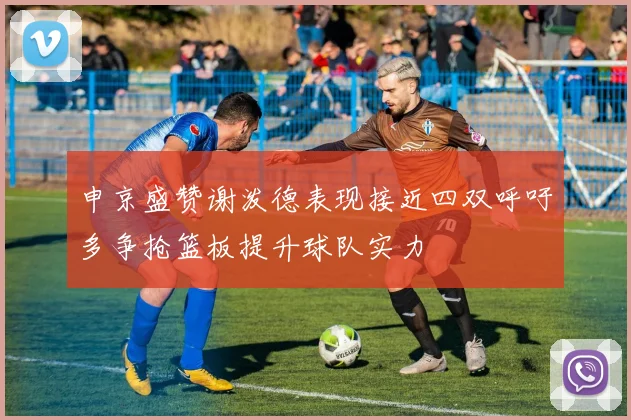 申京盛赞谢泼德表现接近四双呼吁多争抢篮板提升球队实力