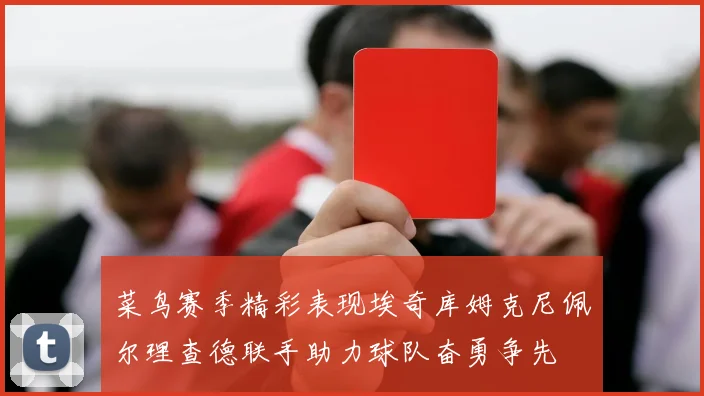 菜鸟赛季精彩表现埃奇库姆克尼佩尔理查德联手助力球队奋勇争先
