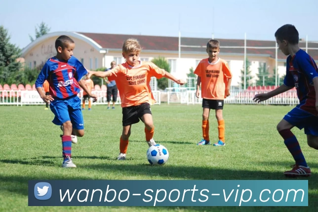 万博体育发展历程